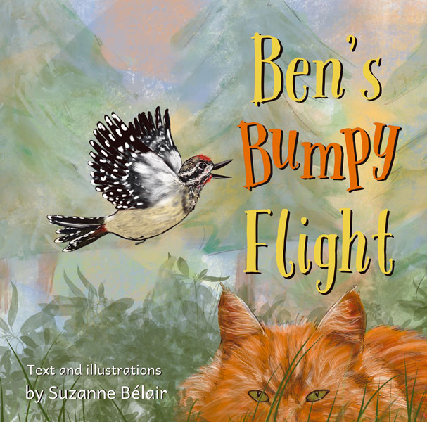 Ben's Bumpy flight by Suzanne Belair
